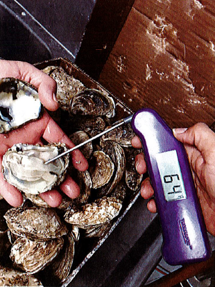 Lukewarm oysters at Mariscos Chihuahua